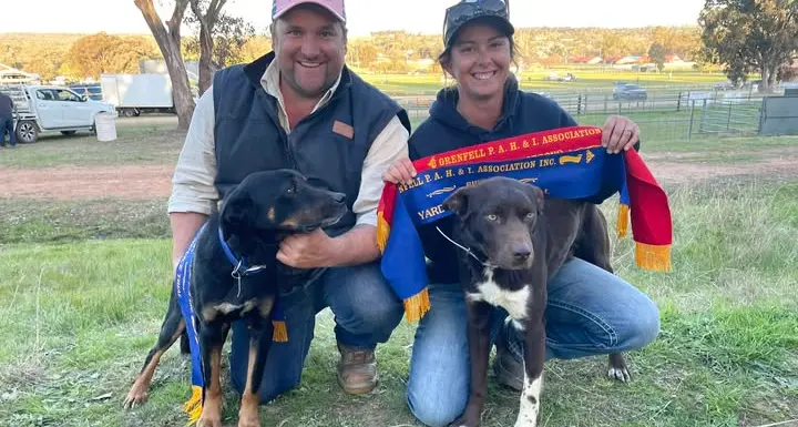 From pub to paddock, Caragabal's first yard dog trial