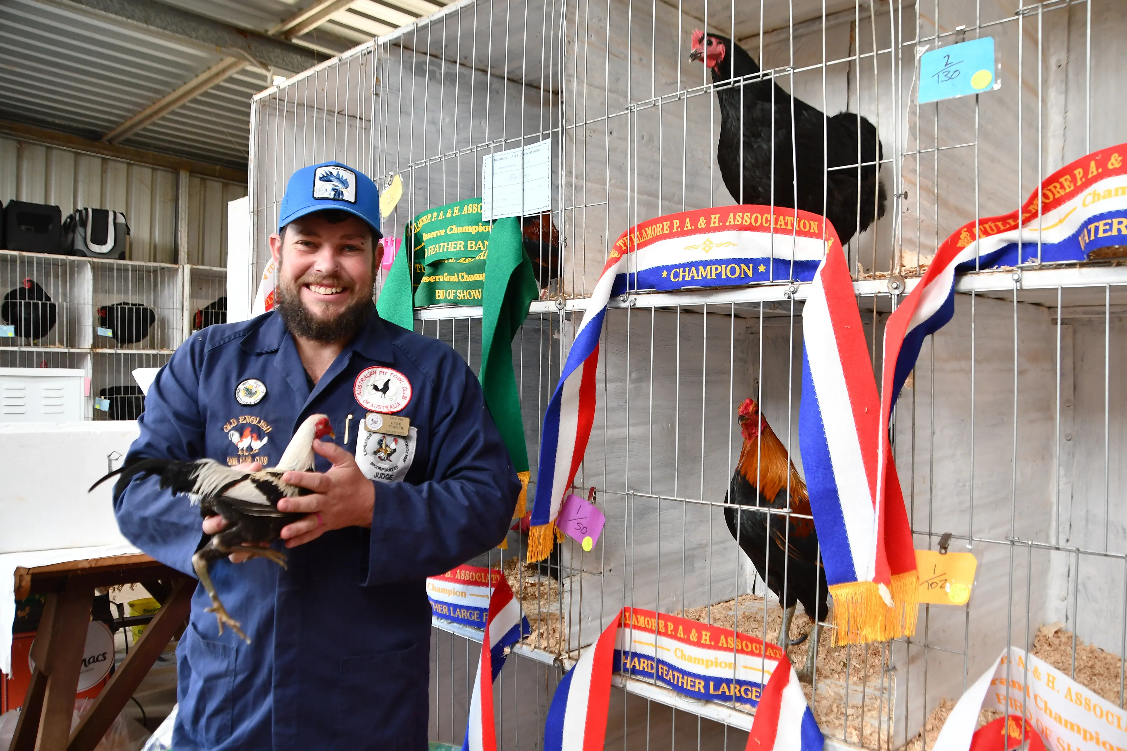 Show-stopper: This bird is top of the flock
