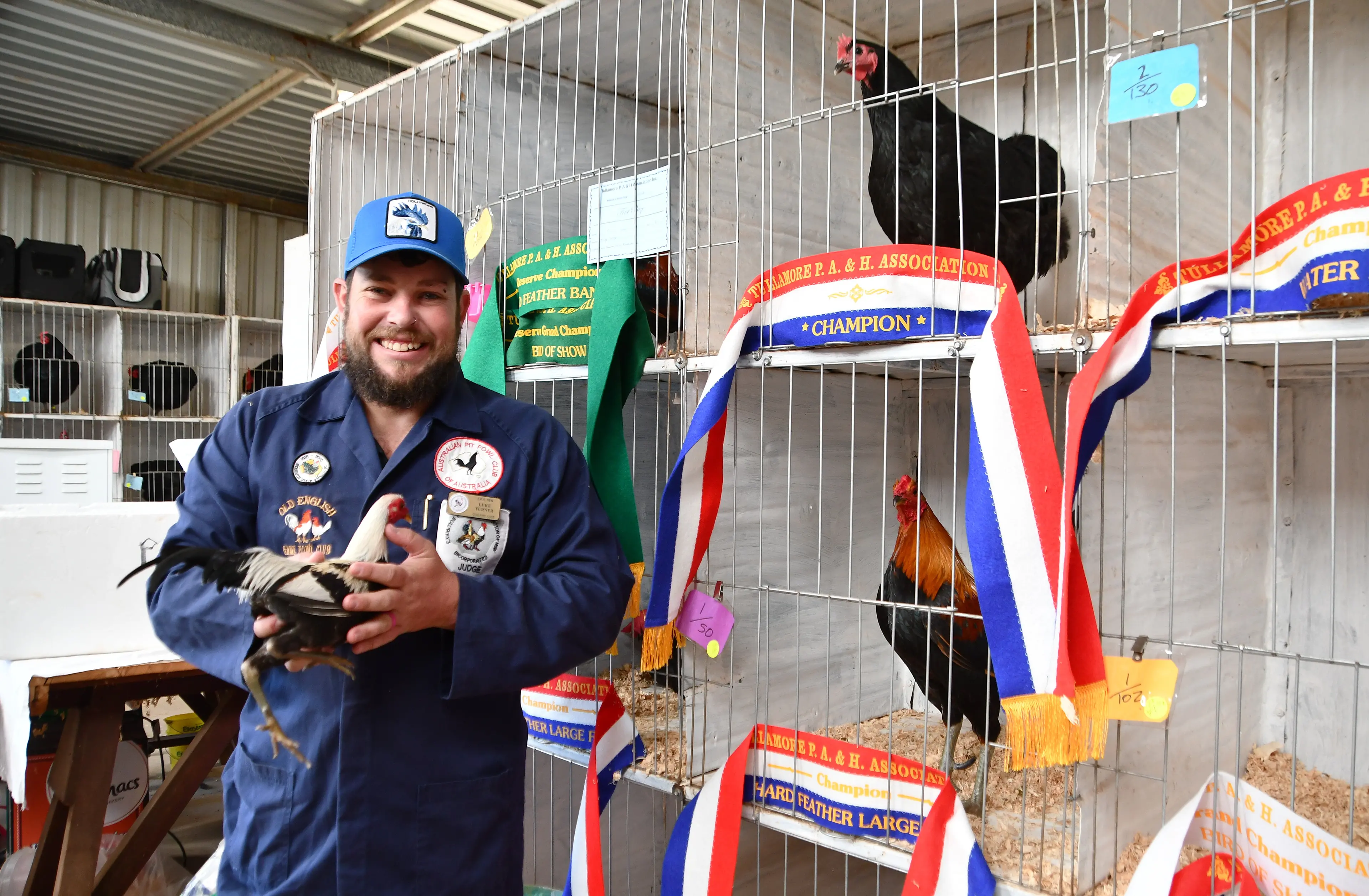 Show-stopper: This bird is top of the flock