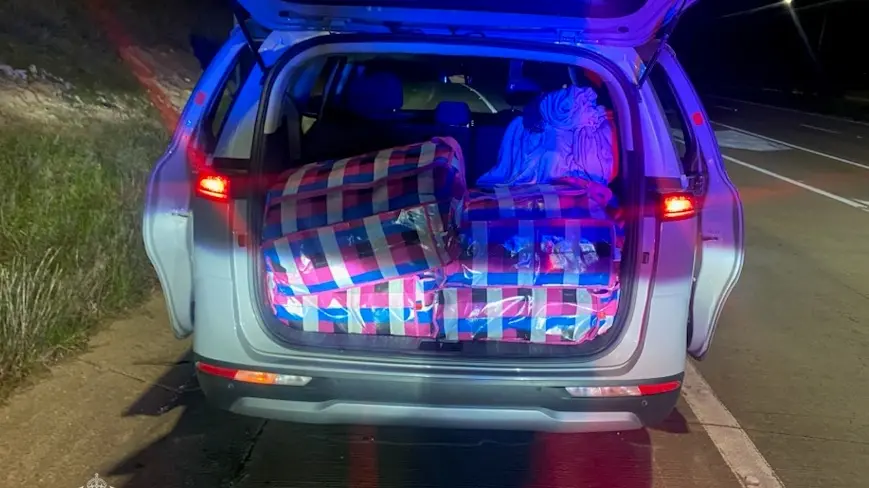 Commercial cannabis haul seized near Yass