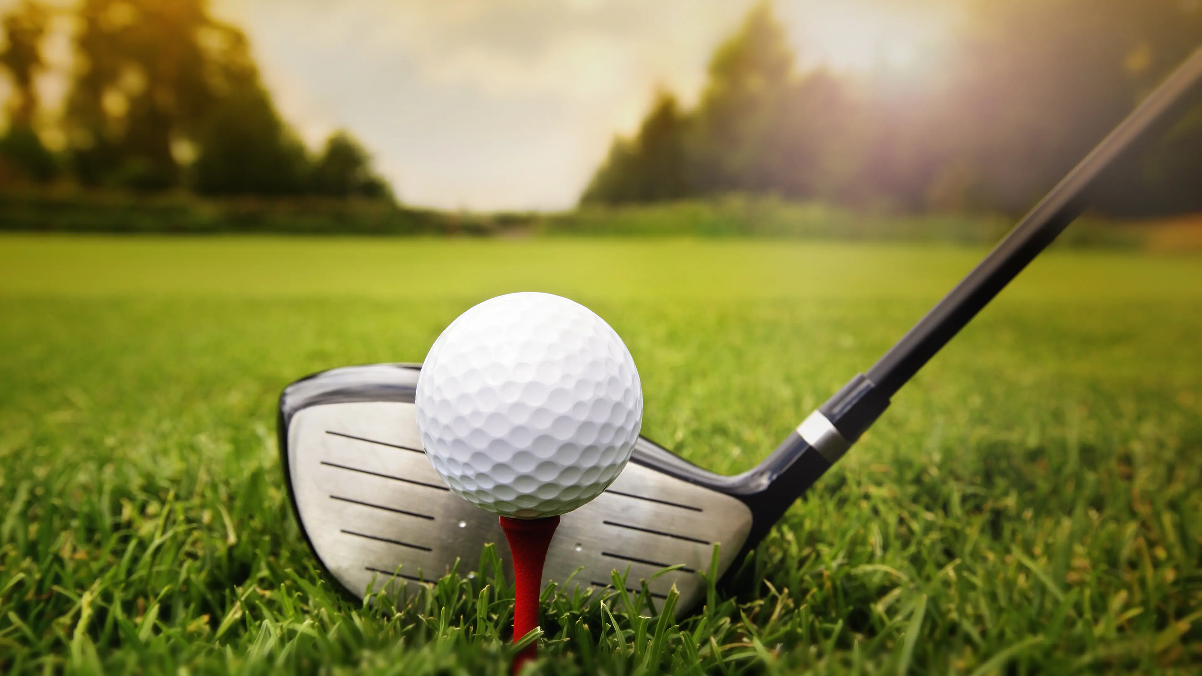 Davies masters the sandy greens to lead Forbes charge