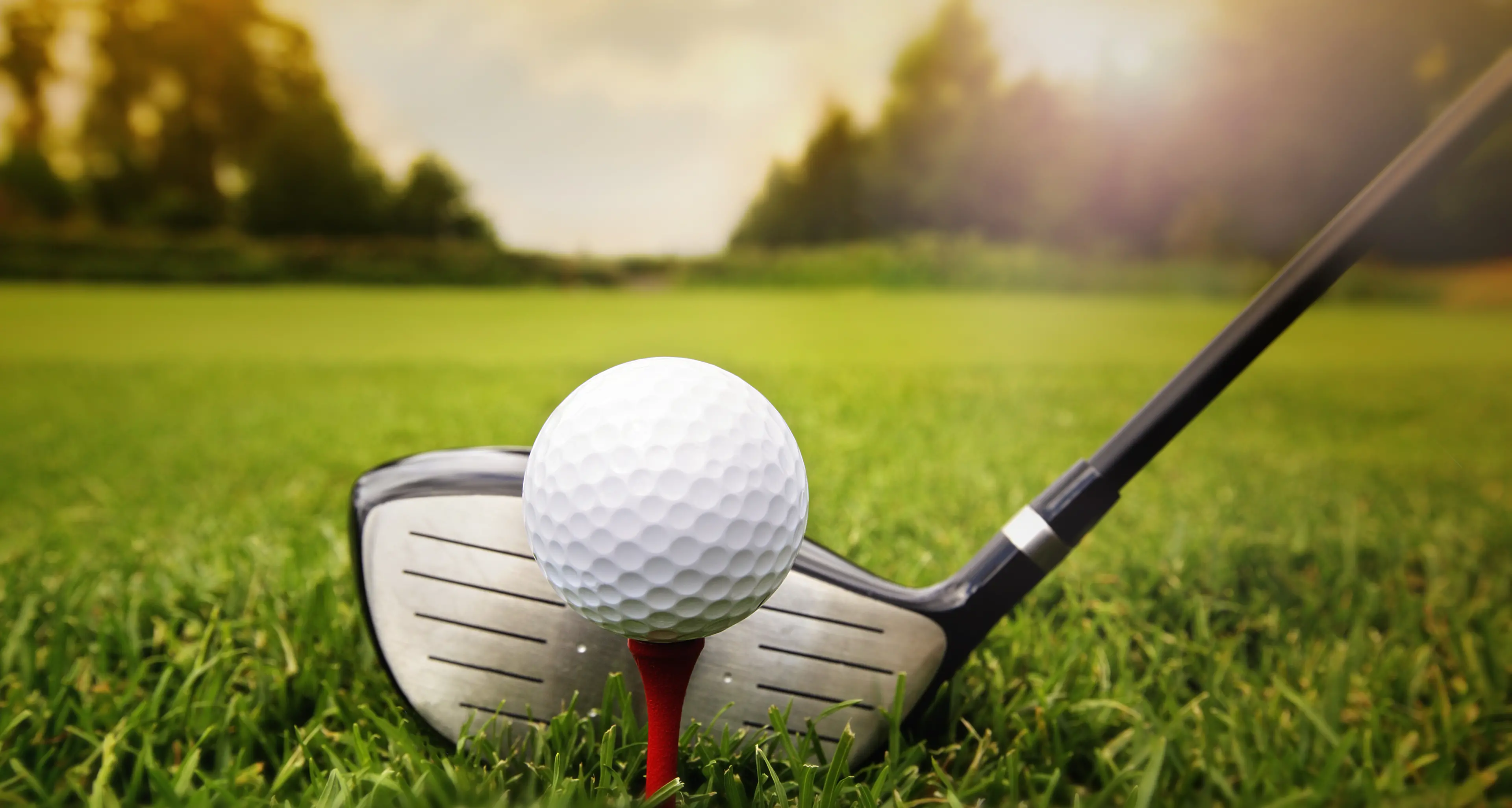 Davies masters the sandy greens to lead Forbes charge