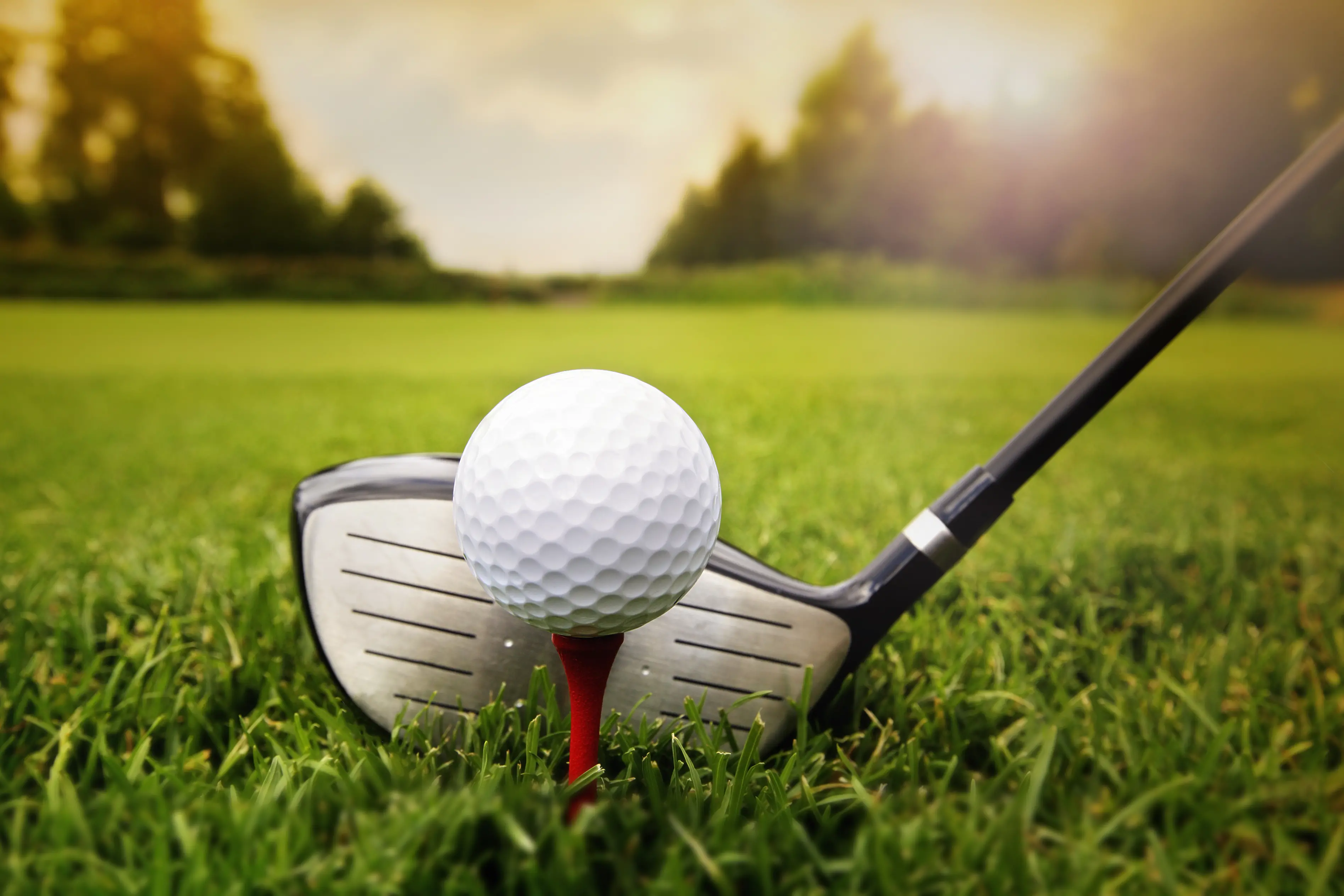 <p>File photo: AdobeStock</p>\\n