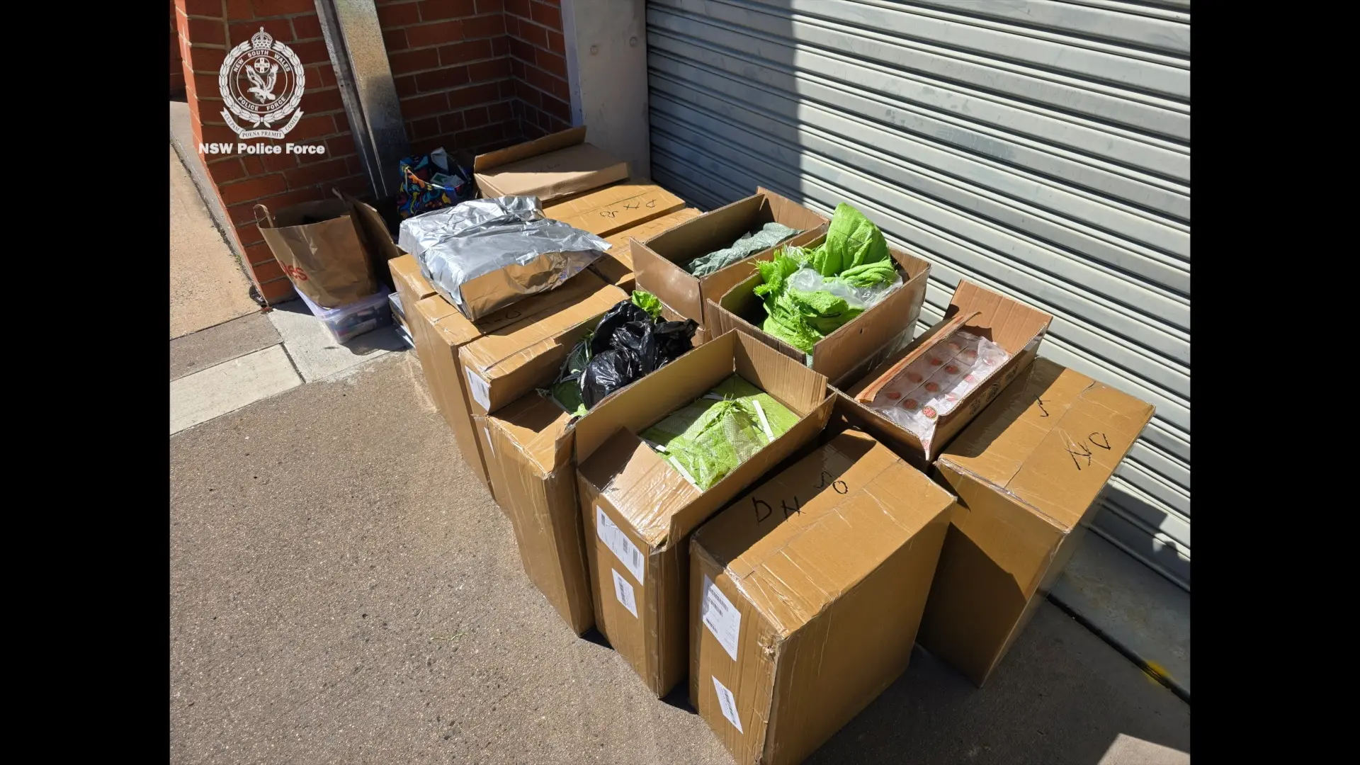 $600k worth of contraband in two vans seized