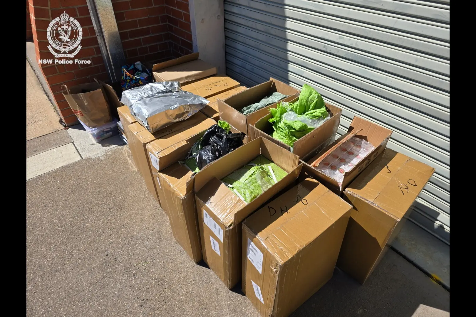 <p>Police seized $266,000 worth of illicit cigarettes, tobacco and vapes from a van near Bathurst last Friday. PHOTOS: NSW Police</p>\\n