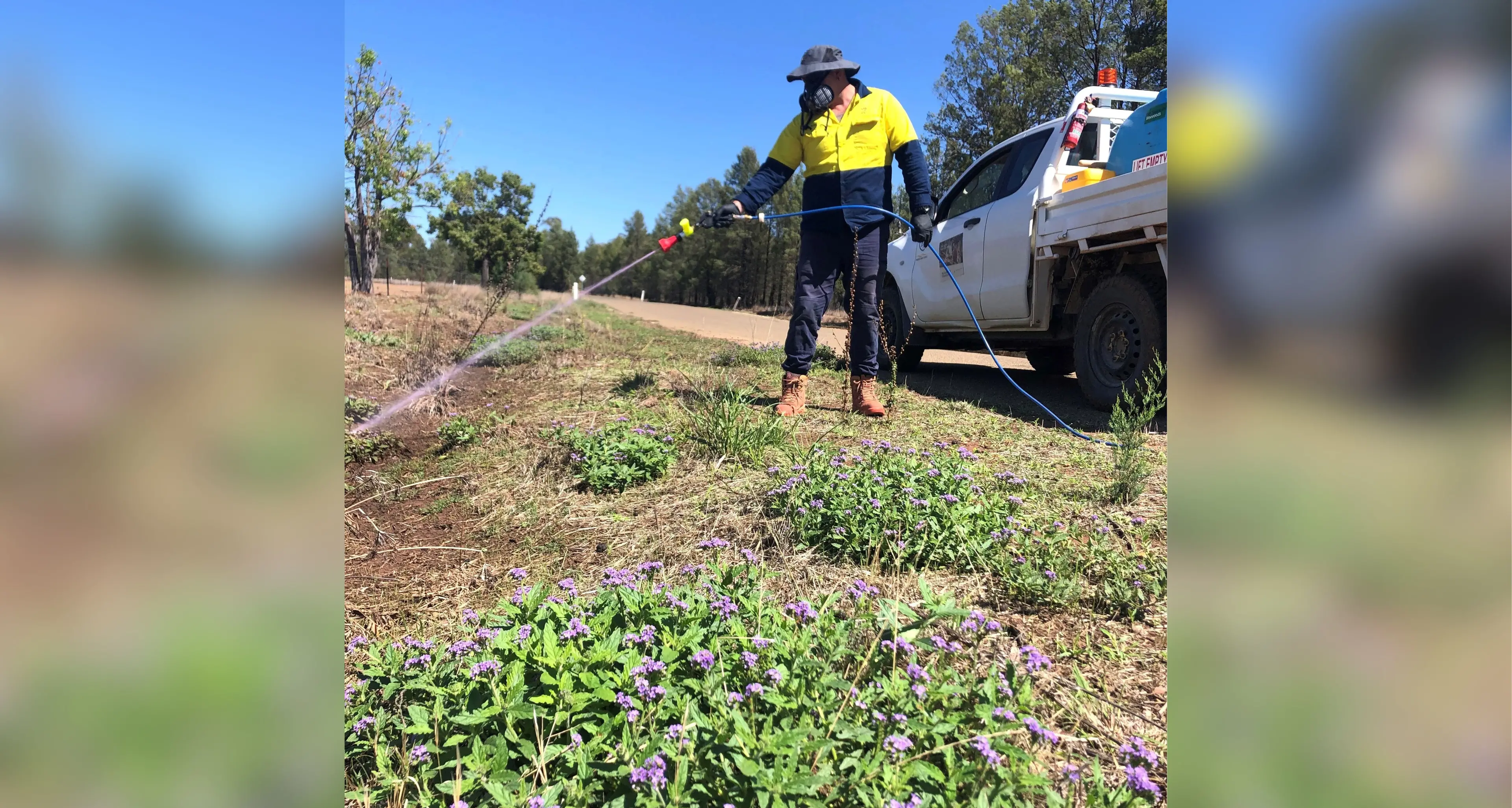 Big effort to stop invasive weeds