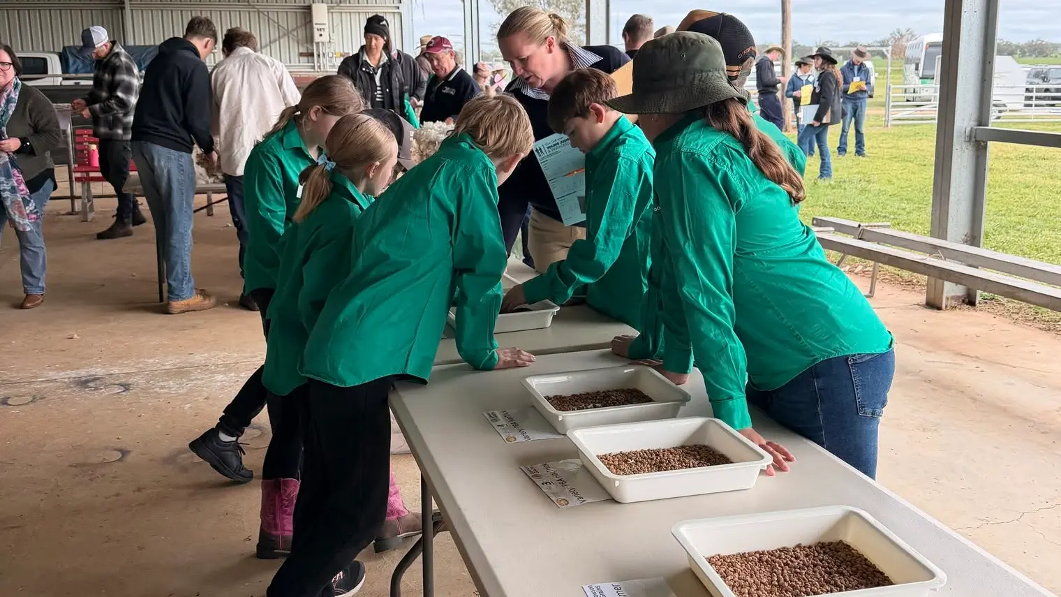 Junior Judging draws record numbers