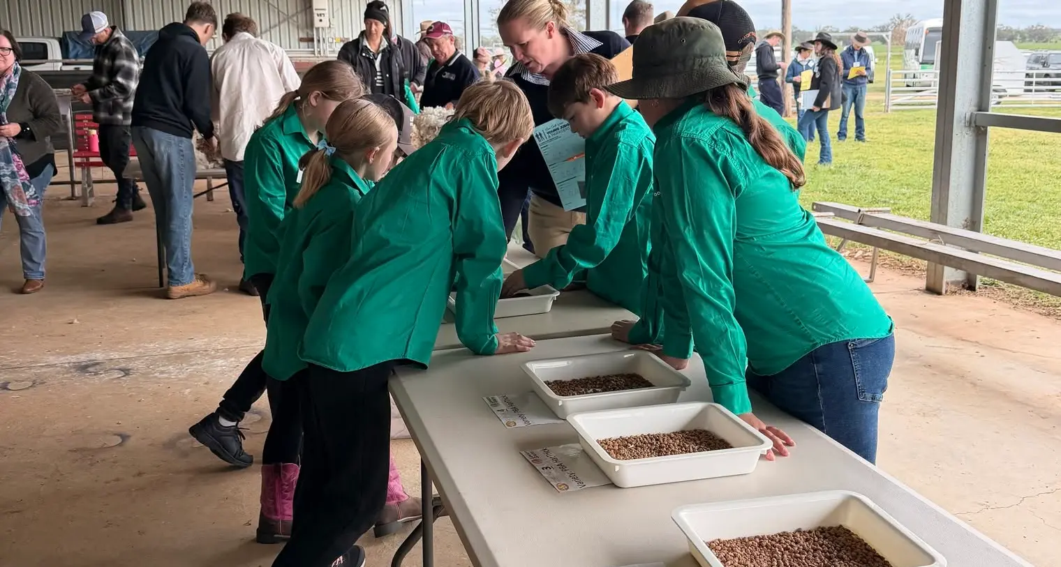 Junior Judging draws record numbers