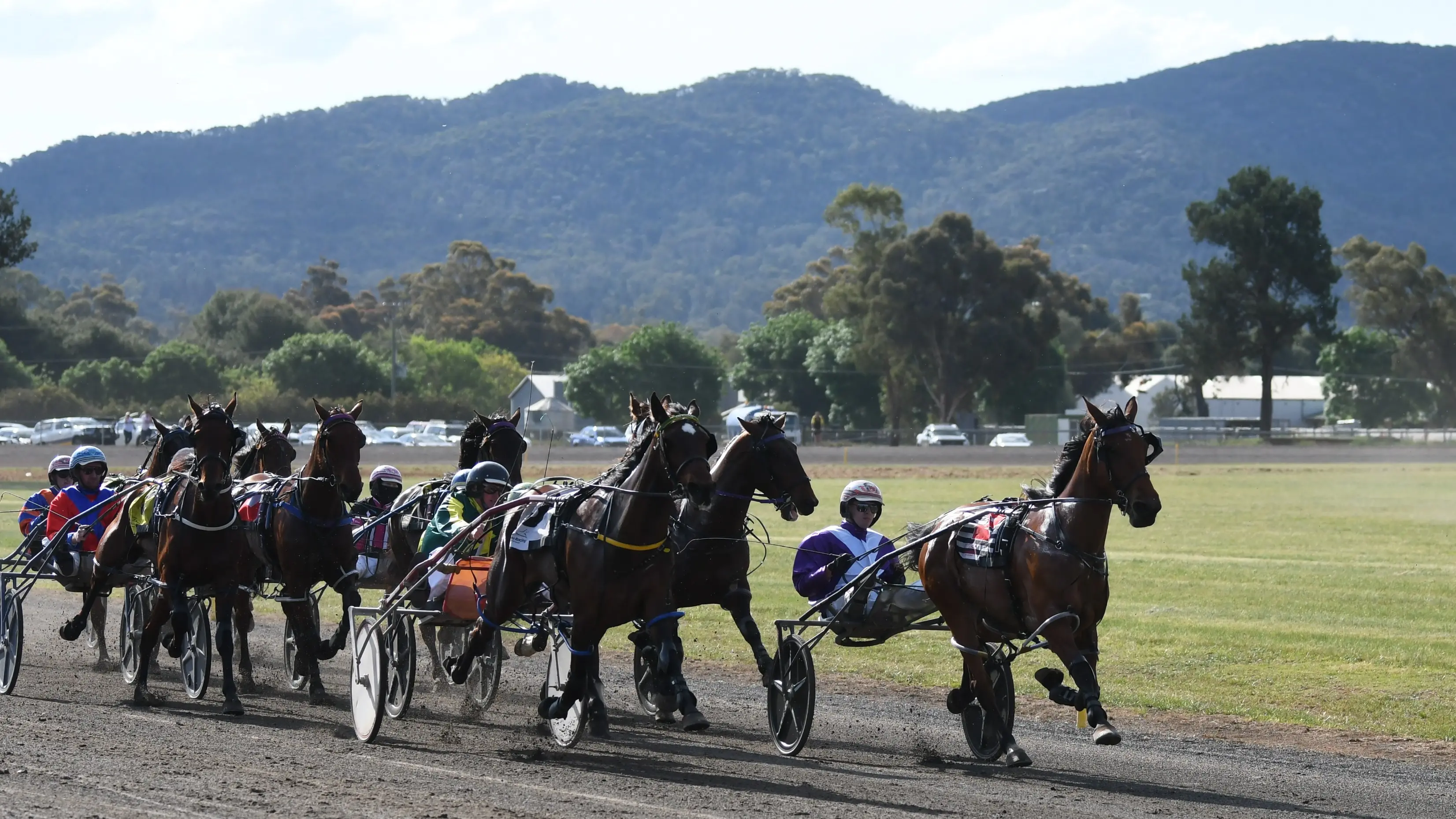 Barrier draw opens way for enthralling Canola Cup