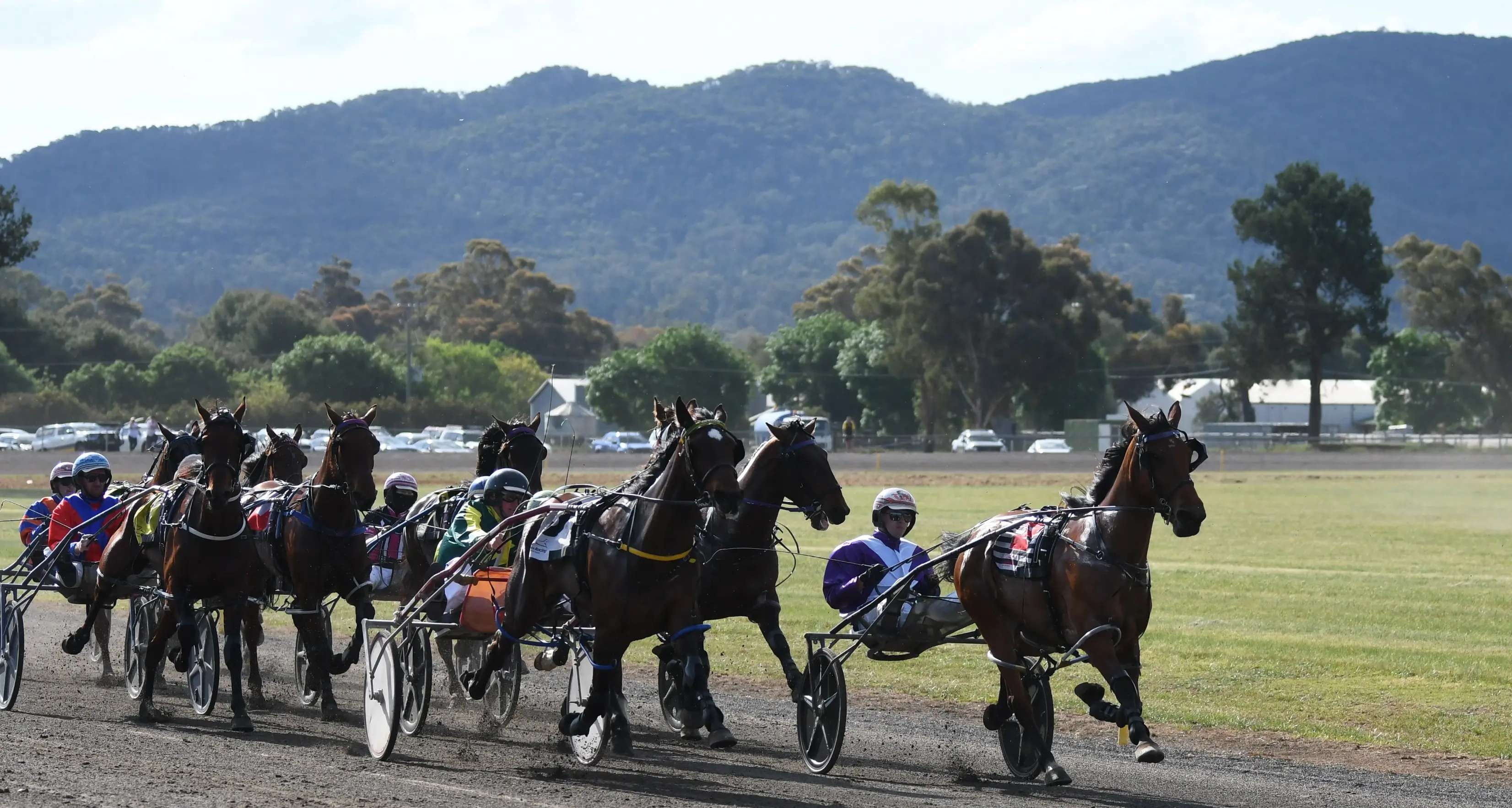 Barrier draw opens way for enthralling Canola Cup