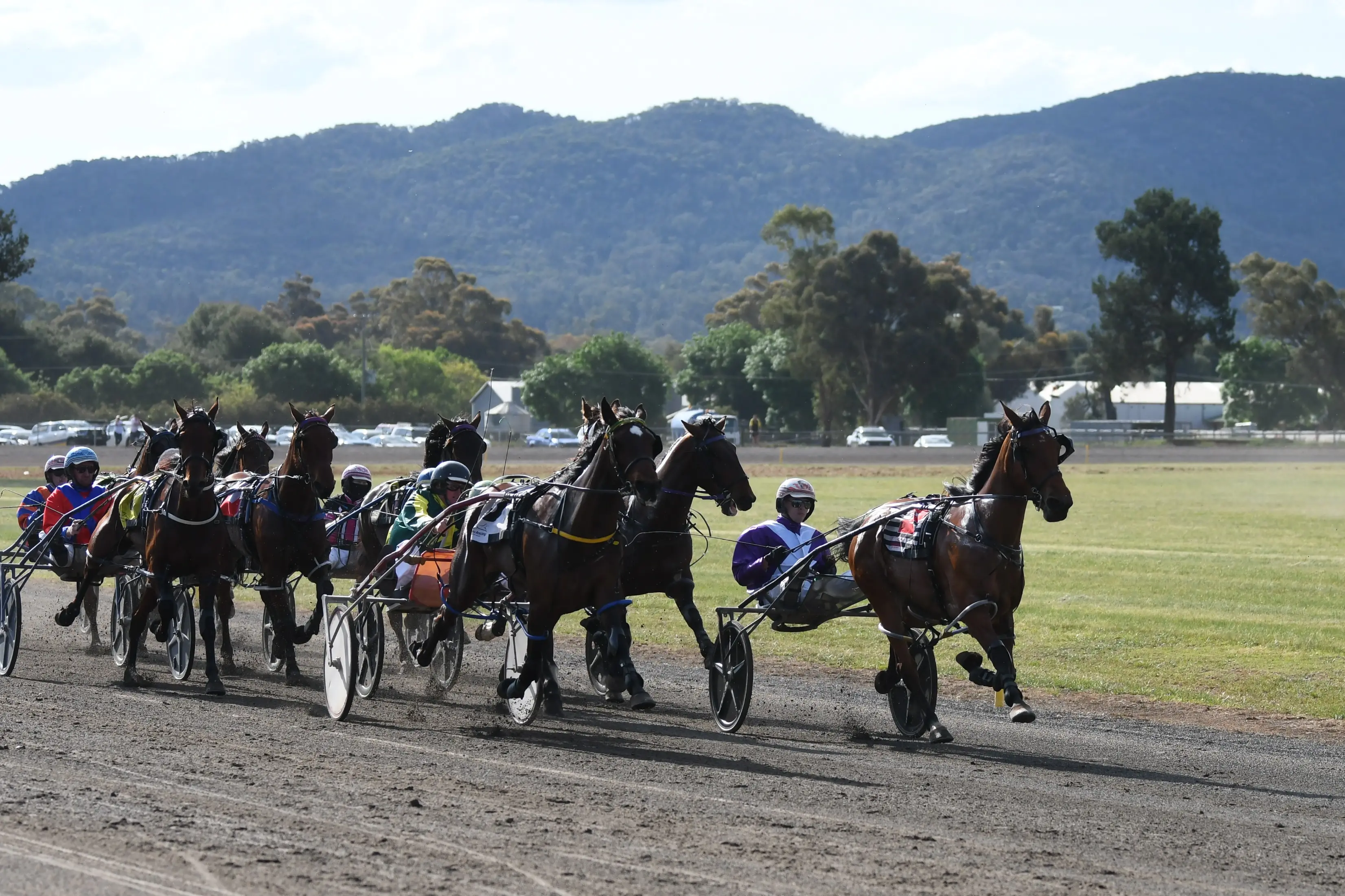 <p>*Copy_Canola Cup preview_Image001_79018Eugowra\\'s Canola Cup carnival promises sensational racing Monday.</p>\\n